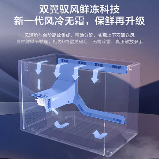 海尔（Haier）风冷无霜冰柜一级能效大容量  家用节能全冷冻柜国 241升 /风冷无霜/约装340斤肉 商品图3