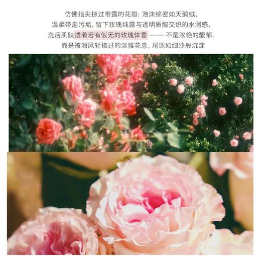FIORI斐澳芮 夏日玫瑰沐浴露520ml 商品图2