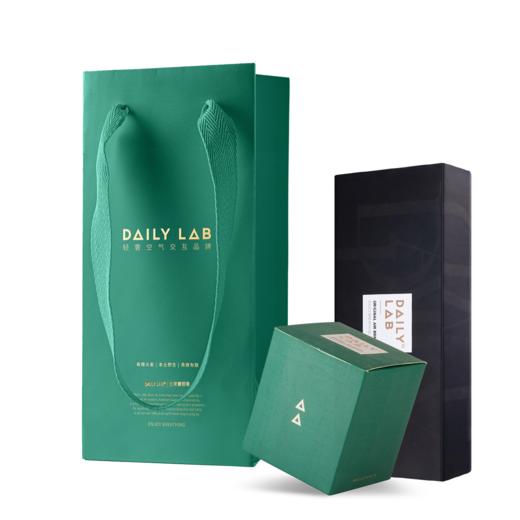 【请勿单拍，单拍不发】DAILYLAB 车载香薰室内香氛轻奢大绿/小红礼品袋（送礼搭配） 商品图0