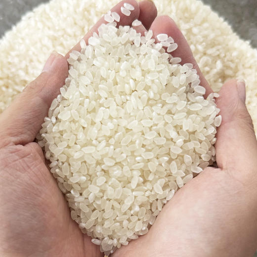 中垦飨味堂 软香米2.5kg 商品图3