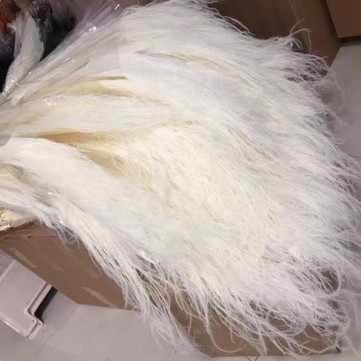 龙须草永生花 --荷兰针茅羽毛草 商品图1