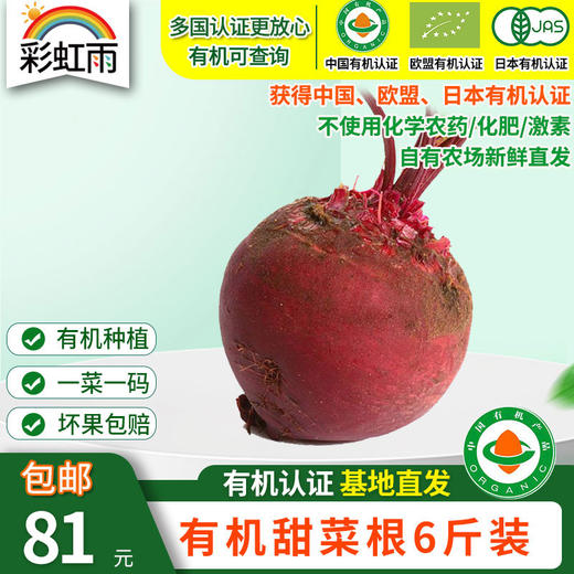 包邮【基地直发】 有机蔬菜 现摘现发甜菜根4斤/6斤/10斤装欧盟认证 商品图9