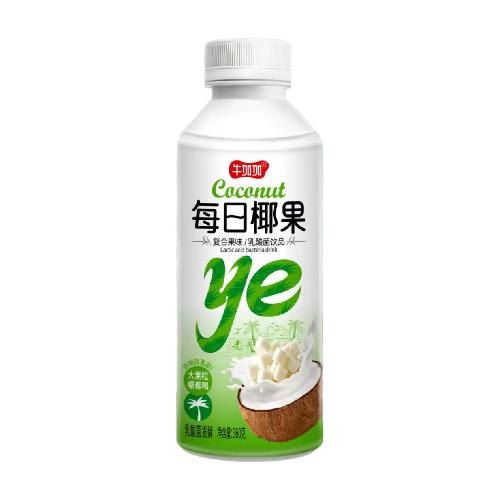 每日椰果 商品图0