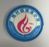 通版佛山市顺德区陈村镇南涌小学包边校徽校服贴章可缝烫现货发51 商品缩略图0