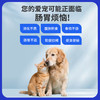 玲宠犬猫0乳糖胃宁肠安膏宠物肠胃调理宠物粪肠球菌肠胃菌群平衡 商品缩略图1