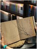 最美中国画精华本：《春江新雨：宋代绘画》，精装，12开，李子儒著，西泠印社2025年6月一版一印，408页，定价468，售价368元。 商品缩略图11