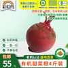 包邮【基地直发】 有机蔬菜 现摘现发甜菜根4斤/6斤/10斤装欧盟认证 商品缩略图0