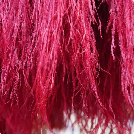 龙须草永生花 --荷兰针茅羽毛草 商品图4