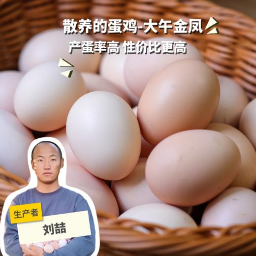 生态河北鸡蛋  | 合作生产 * Ecological Eggs | Coproduction 商品图0