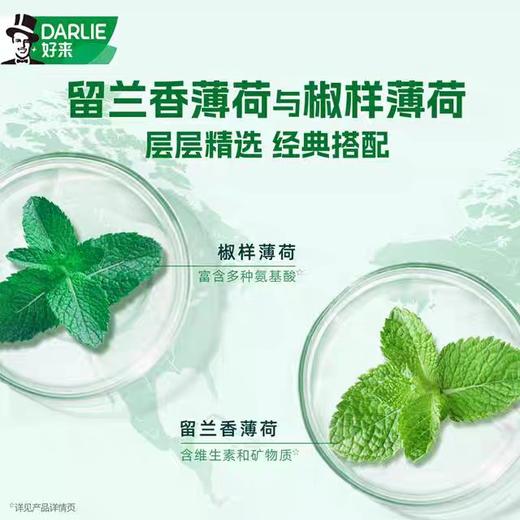 好来双重薄荷牙膏 175g/支 商品图1