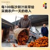 【沙棘原浆、野沙棘小果新鲜压榨、拒绝添加、NFC非浓缩还原汁、沙棘原浆550ml/袋、70%沙棘汁原浆瓶装300ml/瓶*10瓶整箱 商品缩略图3