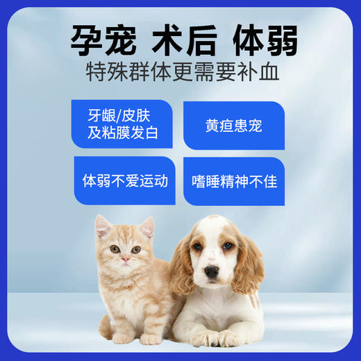 玲宠0乳糖补血肝精膏怀孕猫咪补气血狗宠物幼猫贫血补血补气30ml 商品图1