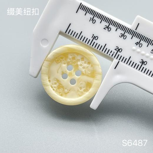 S6487(整包购买) 商品图3