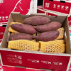 [最农公社]精品红薯5A正宗红瑶红薯金田一薯免洗恒温恒湿糖化工厂定制（推荐烤，也可以蒸） 商品缩略图0