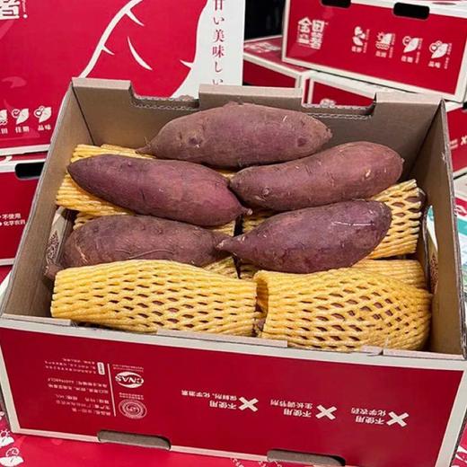 [最农公社]精品红薯5A正宗红瑶红薯金田一薯免洗恒温恒湿糖化工厂定制（推荐烤，也可以蒸） 商品图0
