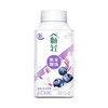 伊利畅轻益生菌风味发酵乳（蓝莓+紫米爆珠）250g*1 商品缩略图0