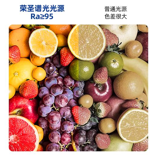荣圣谱光高端吊顶灯新国标A级低蓝光餐饮防辐射高标光源 商品图2