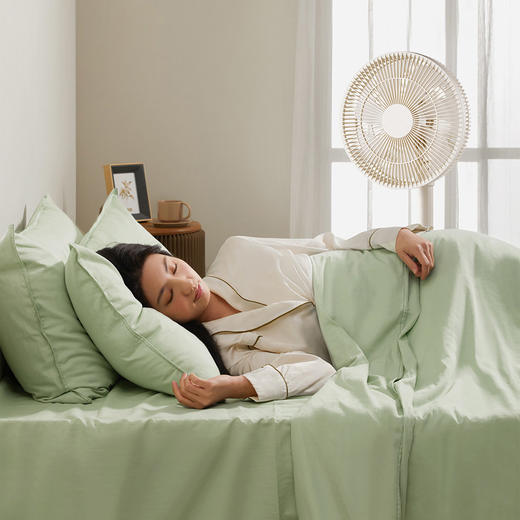  小熊（Bear）台地两用电风扇 DFS-D43F3 商品图3