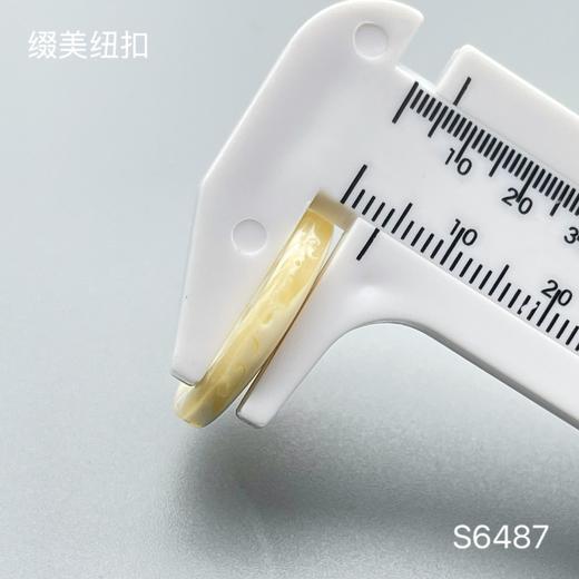 S6487(整包购买) 商品图4