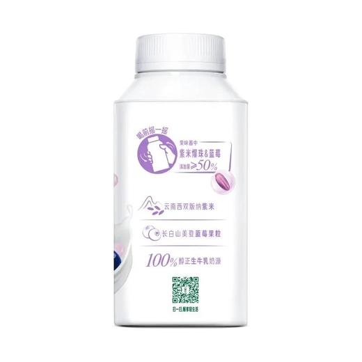 伊利畅轻益生菌风味发酵乳（蓝莓+紫米爆珠）250g*1 商品图1