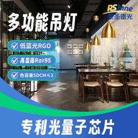荣圣谱光高端吊顶灯新国标A级低蓝光餐饮防辐射高标光源