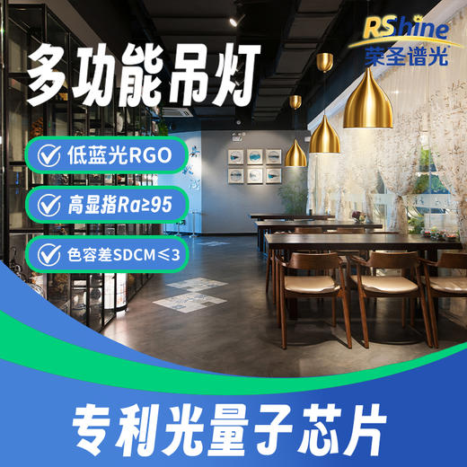 荣圣谱光高端吊顶灯新国标A级低蓝光餐饮防辐射高标光源 商品图0