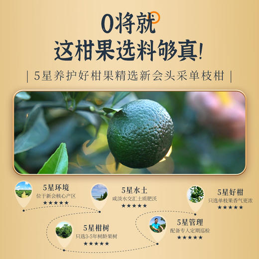 *买一送一*2024年茶妈妈柑普茶120克精品礼盒装 商品图3