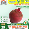 包邮【基地直发】 有机蔬菜 现摘现发甜菜根4斤/6斤/10斤装欧盟认证 商品缩略图6