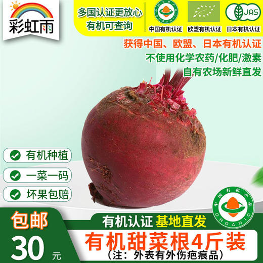 包邮【基地直发】 有机蔬菜 现摘现发甜菜根4斤/6斤/10斤装欧盟认证 商品图6