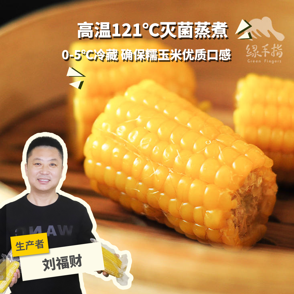 有机糯玉米（鲜食真空包装） | 合作生产* Organic fresh corn | Coproduction