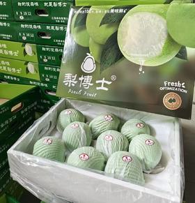 西子玉梨（9个装）