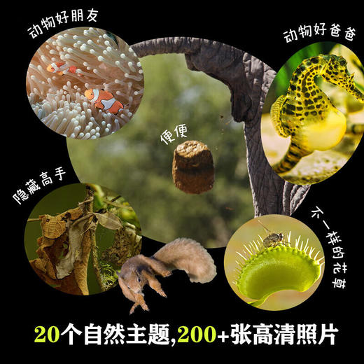 儿童纸上纪录片：小自然 商品图3