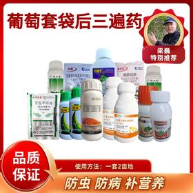 葡萄套袋后三遍药 每遍药10壶水 随货附赠使用说明