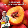 生态珍珠枣油桃 | 合作生产*Eco-pearl nectarine |  Partner Production 商品缩略图0