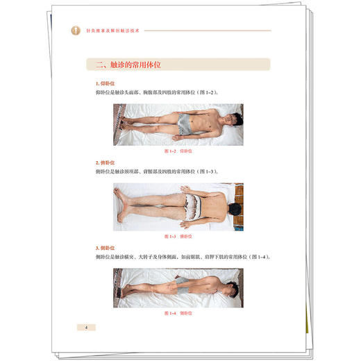 针灸推拿及解剖触诊技术（彩图版）张院宝 赵云龙 李继光 主编 头颈部常用体表标志及触诊解剖定位 9787513294812中国中医药出版社 商品图4