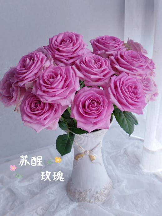 精品国产单头玫瑰苏醒玫瑰花10支 商品图0