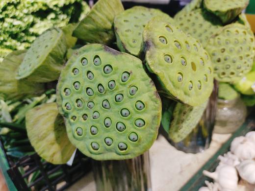 莲子3个 商品图0