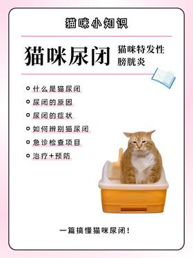 猫咪尿闭不要慌‼️自行排查+应对方法 🌟