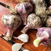 生态鲜大蒜（紫皮，老品种）| 合作生产*Ecological garlic| Coproducted 商品缩略图4