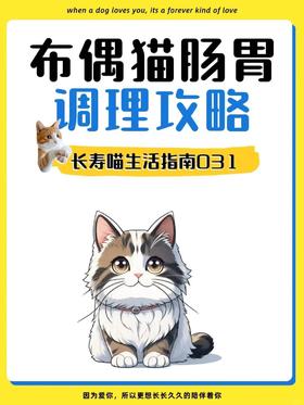 布偶猫肠胃大作战：调整秘籍在此