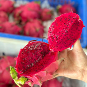 海南金都1号火龙果，净重约5斤4-6枚，清甜水润，发顺丰陆运