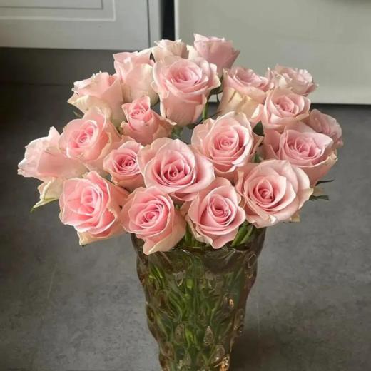 精品国产单头玫瑰粉爱神10支 商品图3