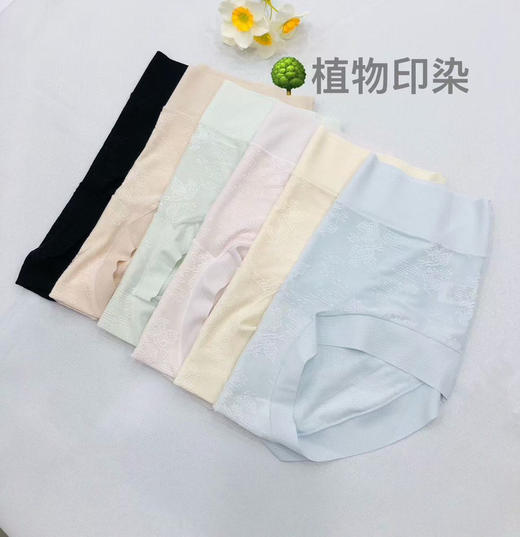 底裤 四色随机。 可以备注颜色 商品图5