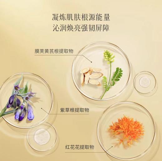 春娟黄芪保湿修复精华液30ml 商品图4