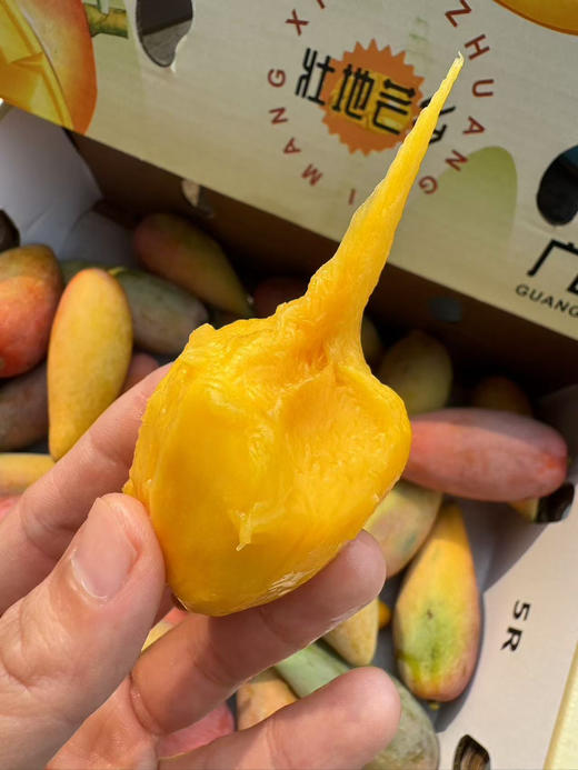 顺丰包邮到家，百色辣椒芒🌶️🥭 超级甜！浓甜浓甜的！果核一条小细线儿 全是果肉！4-4.5斤/箱 商品图0