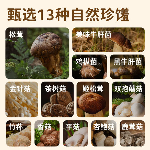 【新人9.9特价福利】汤好喝系列菌菇汤50g*2袋 一包含有13种珍稀菌菇 菌香浓郁 汤鲜味美 做菜煮面好搭档 5分钟懒人汤底 配料超干净大人小孩放心吃 商品图2