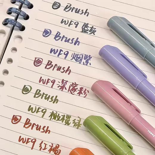 斑马DPWF9烟熏秀丽笔（颜色可到店自选） 商品图2
