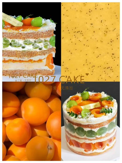 1027CAKE |  杏桃青提蛋糕 口味蛋糕 商品图0