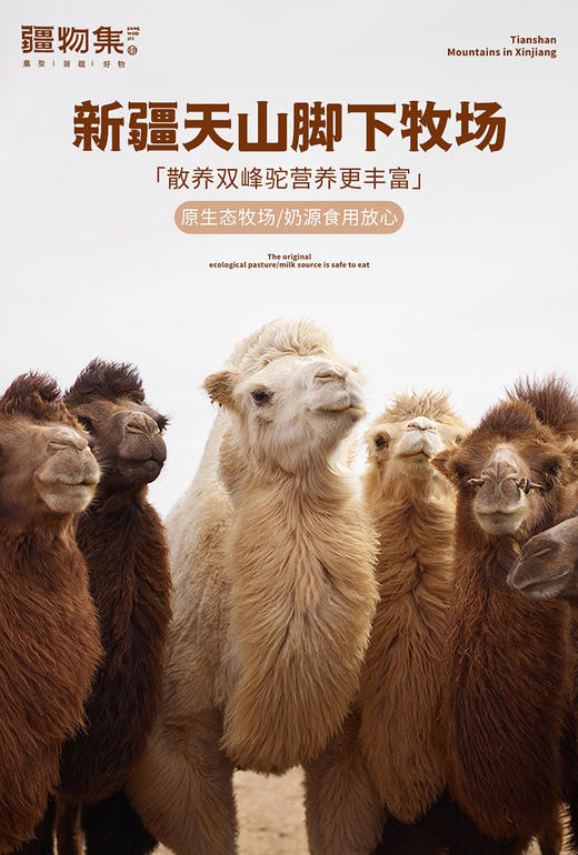 【产地直发】疆物集 有机纯驼乳粉/骆驼奶粉、具有极高的营养价值 商品图6