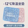 【超模君福利 9.9抢德国黑科技冰晶坐垫】夏天多场景冰感降温 坐垫/沙发垫/睡垫/汽车垫 稳定冷感因子 耐磨防水 可折叠揣兜走 商品缩略图0